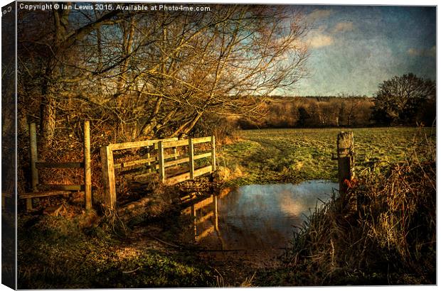 The Path to Sulham  Canvas Print by Ian Lewis