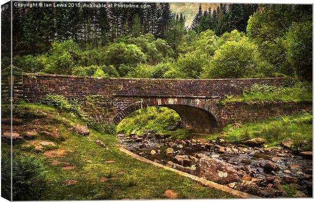  Bridge Over The Caerfanell Canvas Print by Ian Lewis