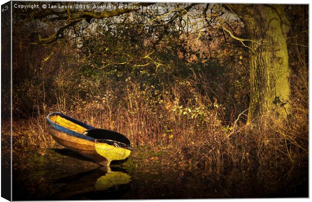 Yellow Rowing Boat Canvas Print by Ian Lewis