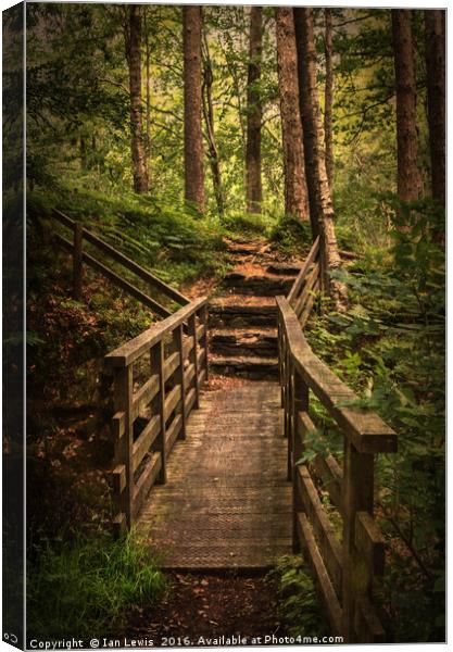 Woodland Bridge At Thirlmere Canvas Print by Ian Lewis