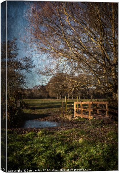 The Path To Tidmarsh Canvas Print by Ian Lewis