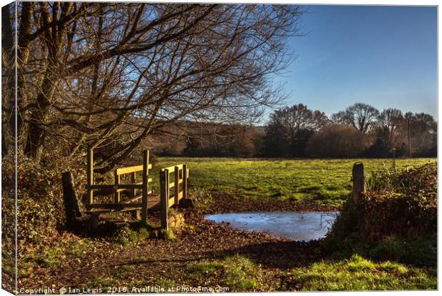 The Way To Sulham Canvas Print by Ian Lewis