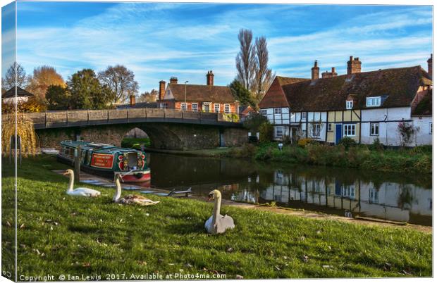 The Swan Family Visiting Hungerford Canvas Print by Ian Lewis