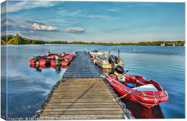 Landing Stage Canvas Print by Ian Lewis