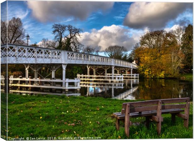 Whitchurch Toll Bridge Canvas Print by Ian Lewis