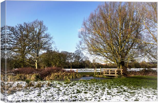 A Cold Morning in Tidmarsh Meadows Canvas Print by Ian Lewis