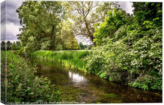 The River Itchen Canvas Print by Ian Lewis