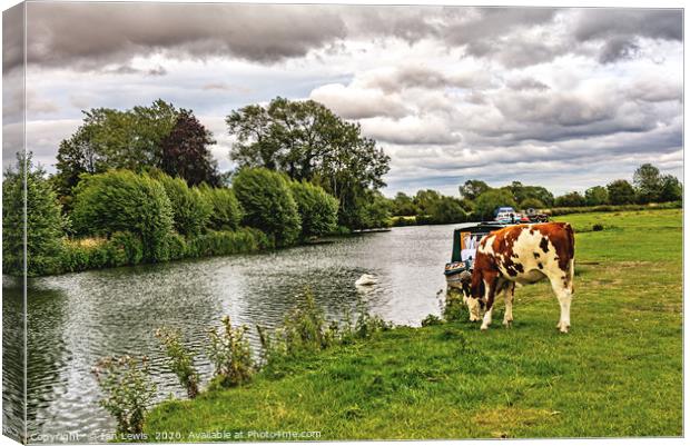 The Thames Path at Lechlade Gloucestershire Canvas Print by Ian Lewis