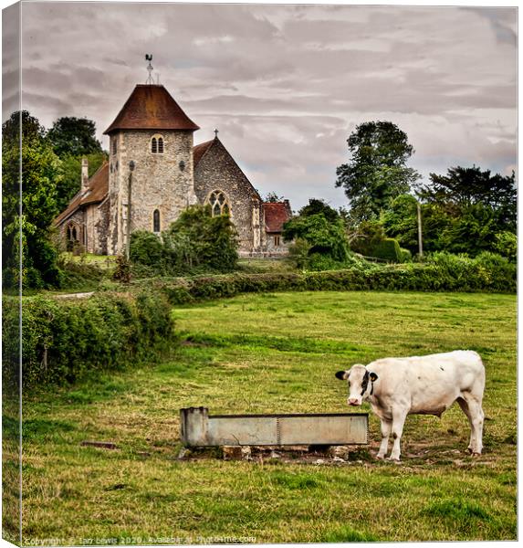 Meadow By The Church Aldworth Berkshire Canvas Print by Ian Lewis