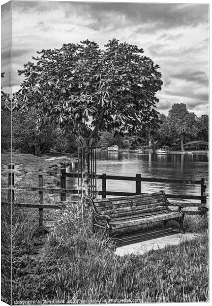 A Bench By The Thames Canvas Print by Ian Lewis