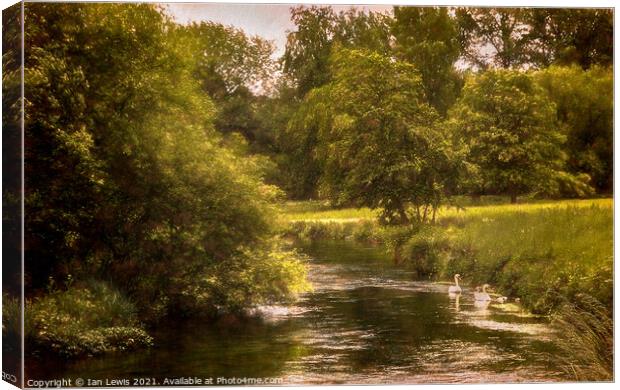 Swans On The Itchen a Digital Painting Canvas Print by Ian Lewis