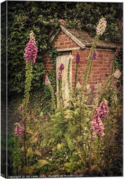Bottom Of A Cottage Garden Canvas Print by Ian Lewis