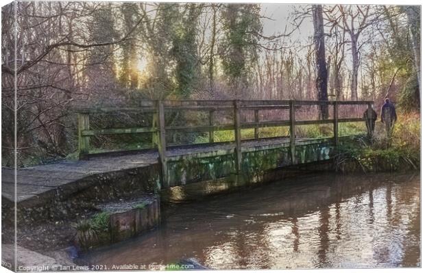 A Stroll In The Woods Canvas Print by Ian Lewis