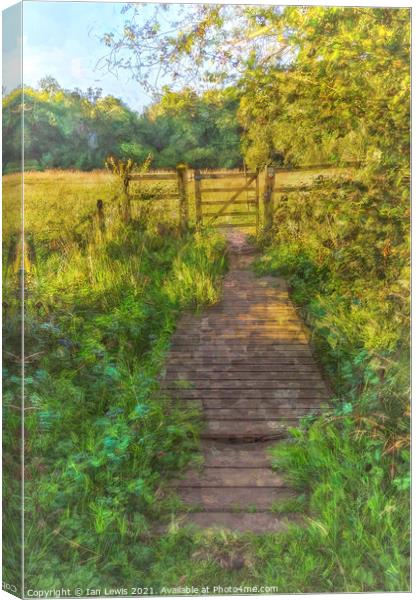 Meadow Gate Canvas Print by Ian Lewis