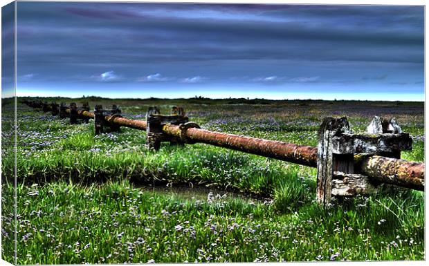 Stiffkey Marshes Outfall Pipe Canvas Print by Paul Betts