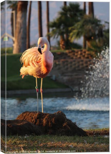 Flamingo Canvas Print by Debra Farrey