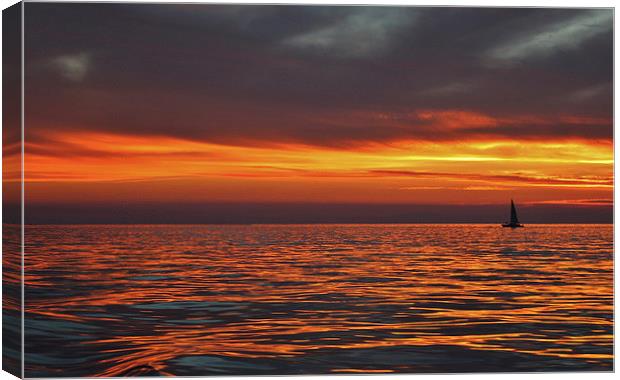  Sunset Sailing Canvas Print by Debra Farrey