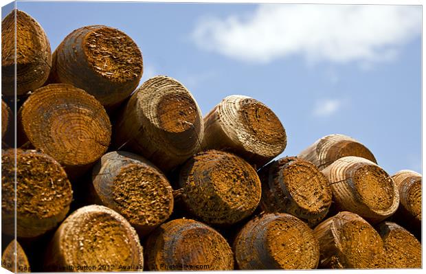 Logs Canvas Print by keith sutton