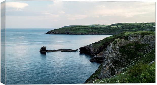  Berry Head Canvas Print by keith sutton