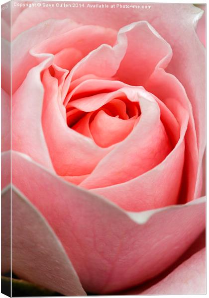 Folds of Beauty Canvas Print by Dave Cullen