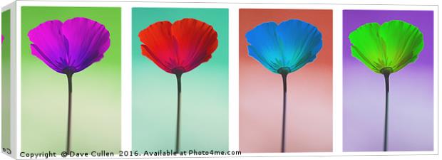 Funky Poppies Canvas Print by Dave Cullen
