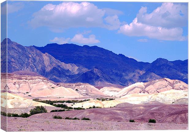 The Colours of Death Valley Canvas Print by Paul Fisher