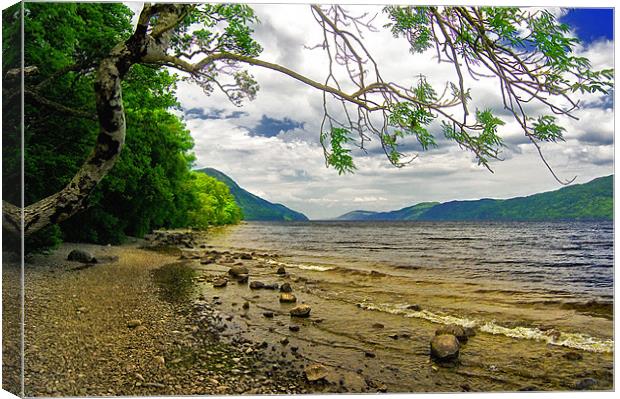 Loch Shores Canvas Print by Paul Fisher