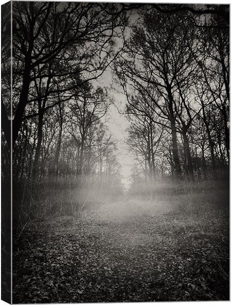 Haunted Wood Canvas Print by Paul Fisher