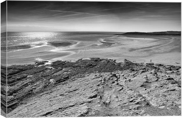  Barry Island beach Canvas Print by Andrew Richards
