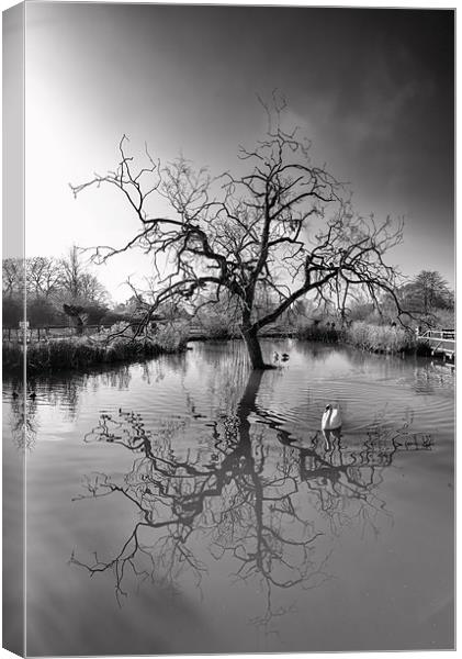 A natural reflection Canvas Print by Andrew Richards