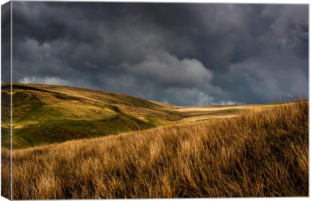There's a storm brewing Canvas Print by Andrew Richards