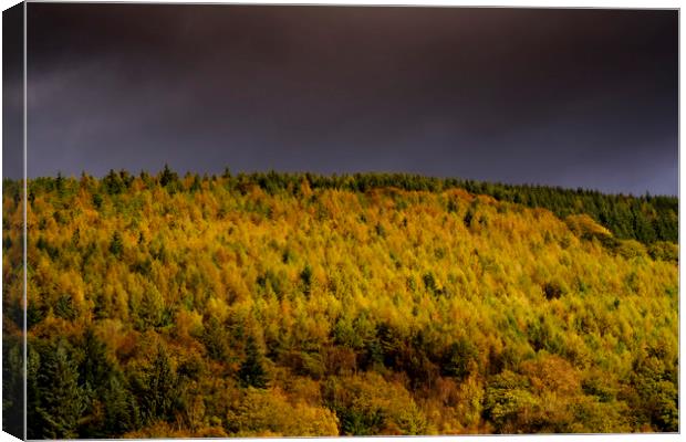 Autumn in Cwmcarn Canvas Print by Andrew Richards