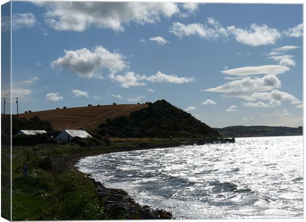 Strangford Lough Canvas Print by Noreen Linale