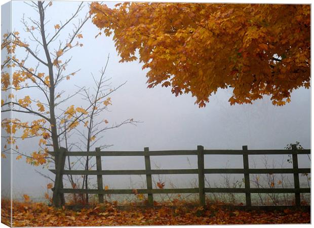 Autumn Mist Canvas Print by Noreen Linale