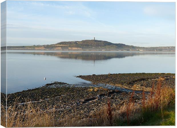 Scrabo View Canvas Print by Noreen Linale