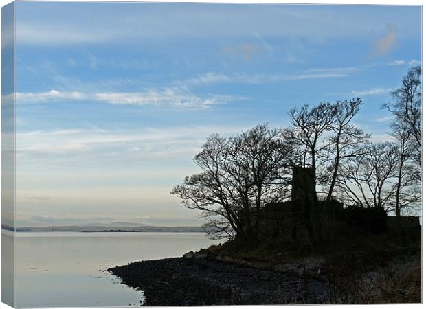 Morning on Strangford Lough Canvas Print by Noreen Linale