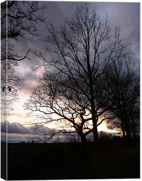 Winter Silhouettes Canvas Print by Noreen Linale