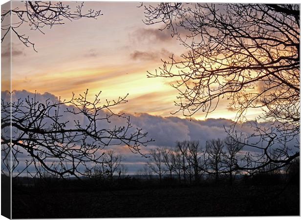 Last Light Canvas Print by Noreen Linale