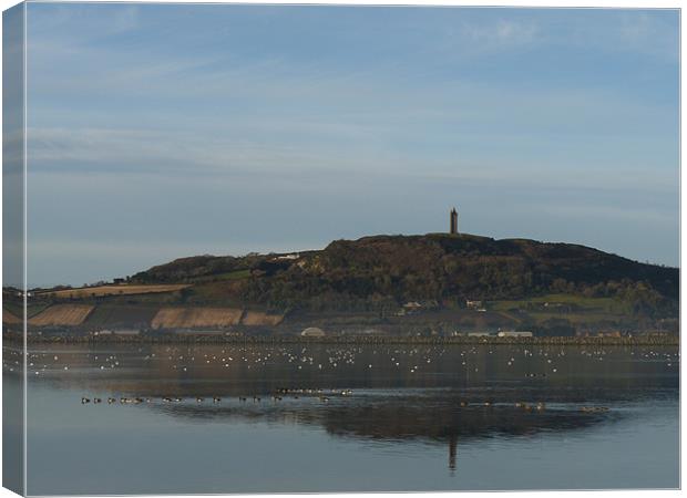 Scrabo Tower Canvas Print by Noreen Linale