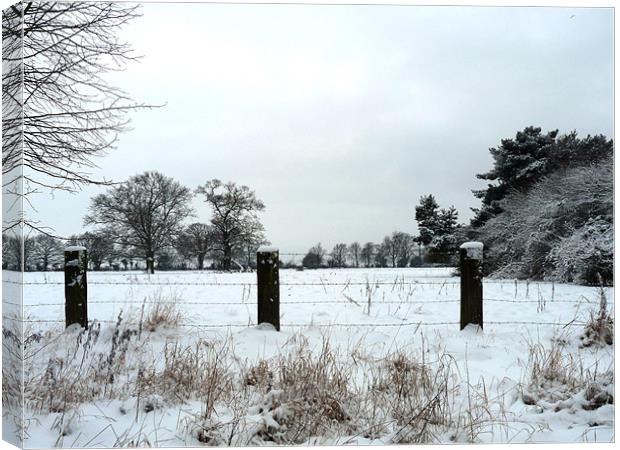 Snow Days Canvas Print by Noreen Linale