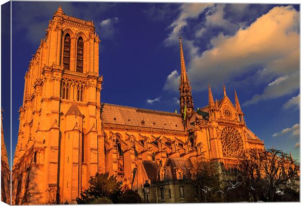 Golden Notre Dame Canvas Print by Ray Shiu