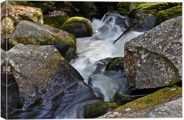 little brook Canvas Print by christian De miranda