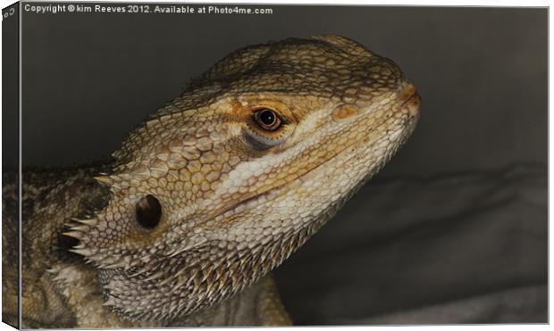 bearded dragon Canvas Print by kim Reeves