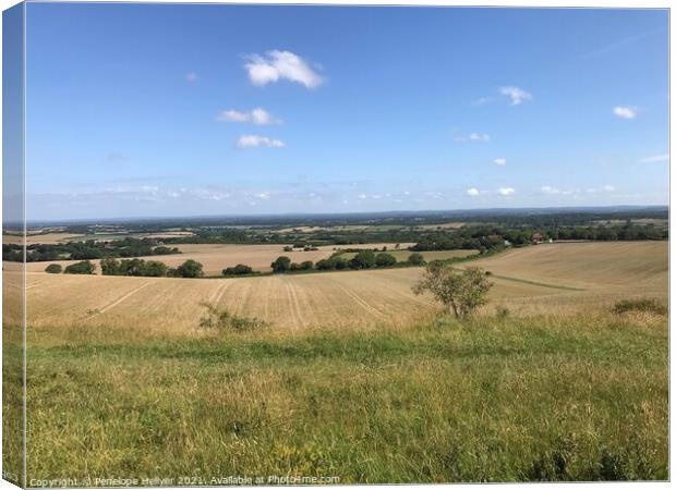 Sussex Countryside Canvas Print by Penelope Hellyer