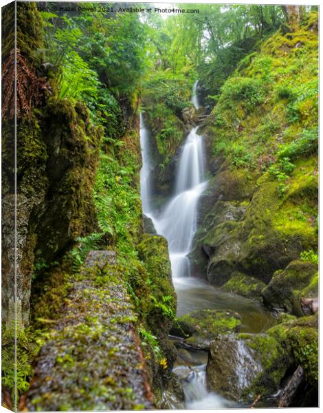 Stock Ghyll Force Canvas Print by Hazel Powell