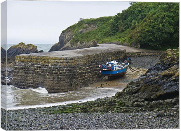 Stackpole Quay Canvas Print by Hazel Powell