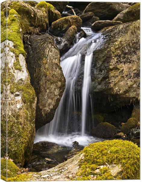 Cwm Rhaeadr Forestry Canvas Print by Hazel Powell