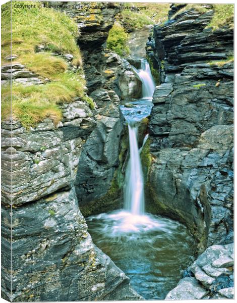 Rocky Valley, Tintagel Canvas Print by Hazel Powell