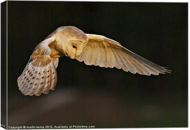 Night Owl Canvas Print by Martin Kemp Wildlife
