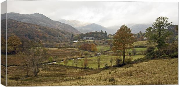 View of Elterwater Canvas Print by Martin Kemp Wildlife